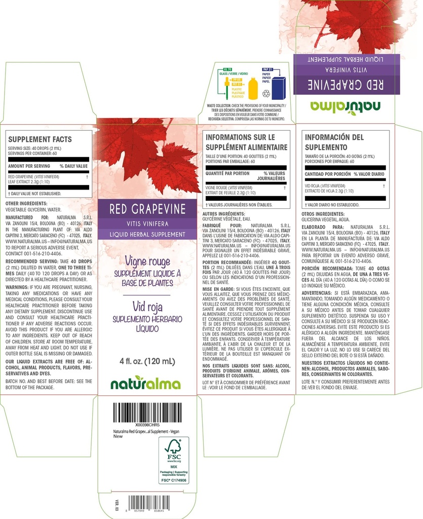 naturalma-red-grapevine-vitis-vinifera-l-2.jpg