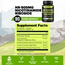 welbuda-5in1-nicotinamide-riboside-suppl-2.jpg
