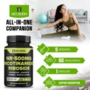 welbuda-5in1-nicotinamide-riboside-suppl-6.jpg