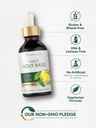 carlyle-holy-basil-liquid-drops-2-fl-oz--5.jpg