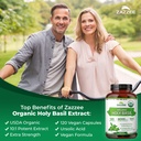 zazzee-usda-organic-holy-basil-10-1-extr-4.jpg