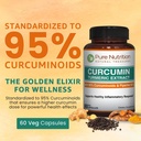 pure-nutrition-curcumin-turmeric-supplem-3.jpg