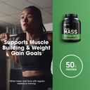 optimum-nutrition-serious-mass-gainer-pr-5.jpg