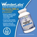 wonder-laboratories-berberine-hcl-1-500m-4.jpg
