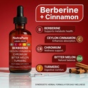 halpilt-nutrapure-berberine-drops-pure-b-3.jpg