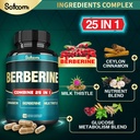 satoomi-25in1-berberine-supplement-berbe-3.jpg