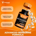 wellness-labsrx-berberine-1-000mg-third--3.jpg