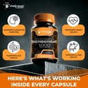 wellness-labsrx-berberine-1-000mg-third--2.jpg