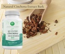 quinine-cinchona-bark-extract-1000-mg-he-6.jpg