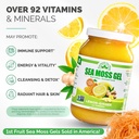 eversmith-organics-wildcrafted-irish-sea-3.jpg