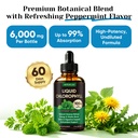 venture-pal-5-in-1-liquid-chlorophyll-dr-3.jpg