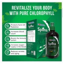 edmark-splina-liquid-chlorophyll-2.jpg