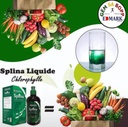 edmark-splina-liquid-chlorophyll-6.jpg