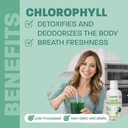 liquid-chlorophyll-apple-flavored-cold-e-3.jpg