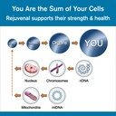 rejuvenal-supports-healthy-aging-longevi-6.jpg