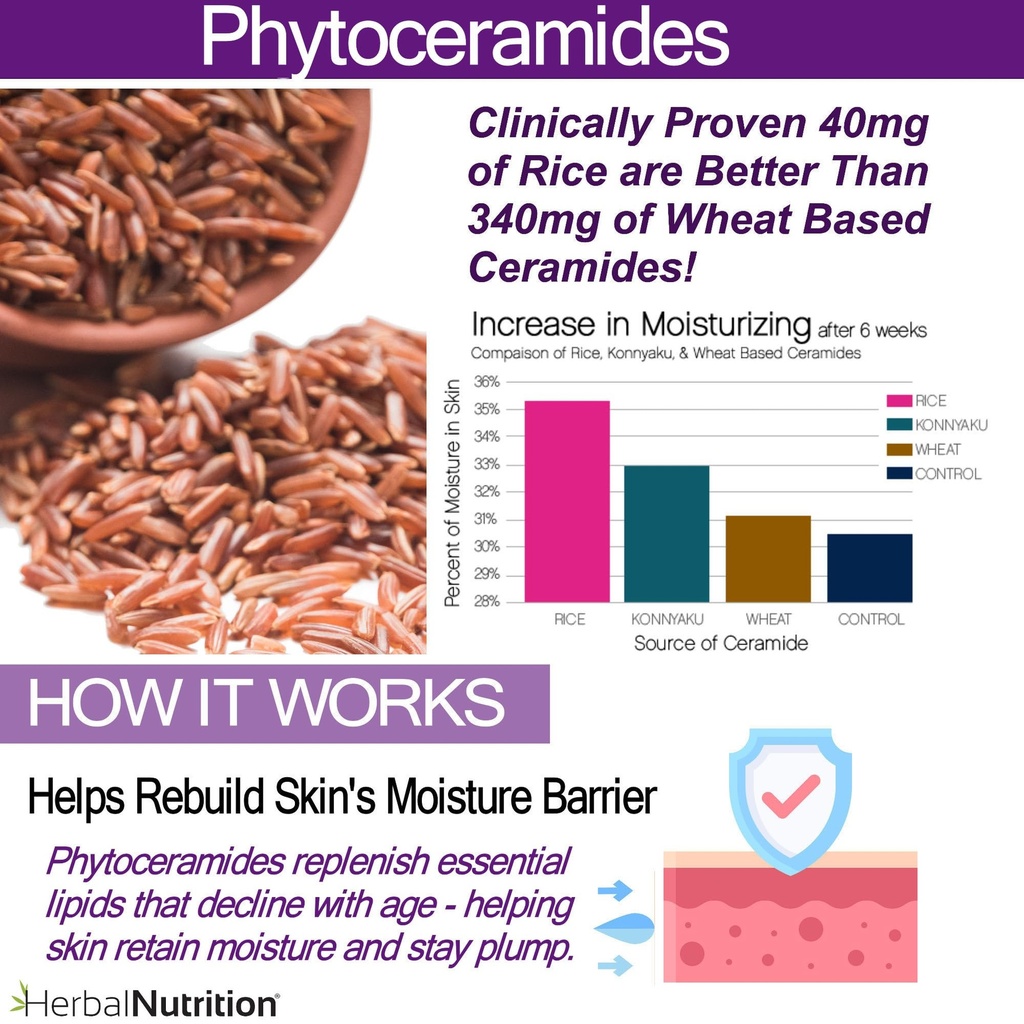 phytoceramides-anti-aging-skin-hydration-4.jpg