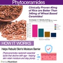 phytoceramides-anti-aging-skin-hydration-4.jpg