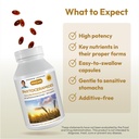 andrew-lessman-phytoceramides-with-bioti-4.jpg