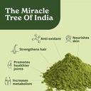 generic-moringa-powder-226g-moringa-leaf-2.jpg