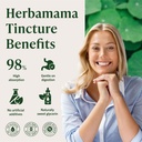 herbamama-gotu-kola-tincture-vegan-brain-5.jpg