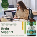herbamama-gotu-kola-tincture-vegan-brain-2.jpg