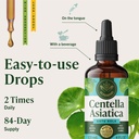 herbamama-gotu-kola-tincture-vegan-brain-6.jpg