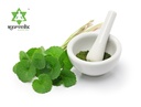 organic-gotu-kola-powder-herbal-suppleme-4.jpg