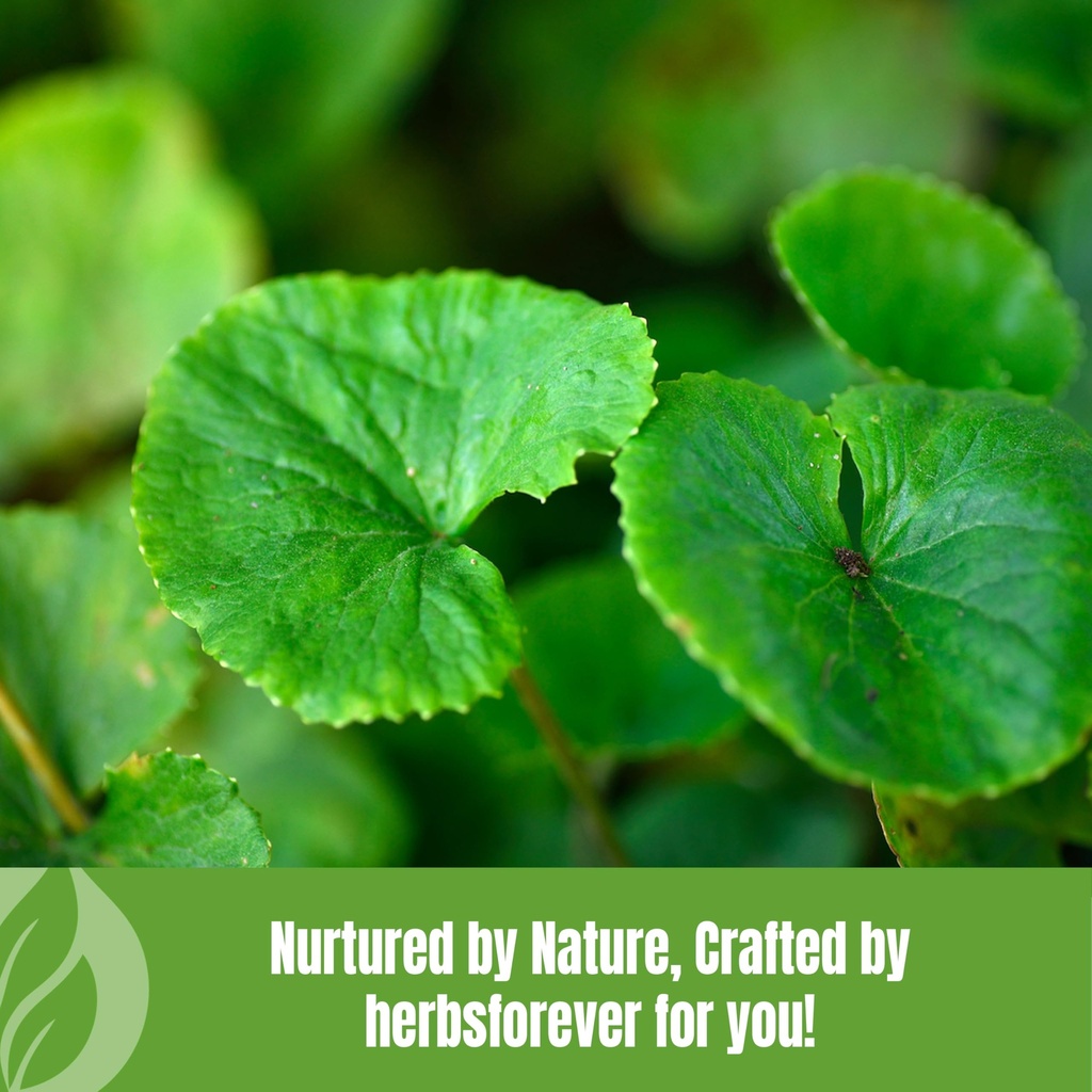 herbsforever-gotu-kola-powder-centella-a-6.jpg