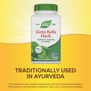 nature-s-way-premium-herbal-gotu-kola-he-4.jpg