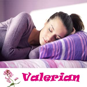 valerian-root-capsules-organic-500mg-her-3.jpg