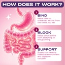 gobiotix-lectin-defense-lectin-blocker-s-3.jpg
