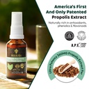 bee-and-you-natural-bee-propolis-throat--4.jpg