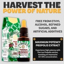 ponlee-brazilian-green-bee-propolis-extr-4.jpg