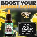 ponlee-brazilian-green-bee-propolis-extr-2.jpg
