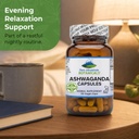 pure-mountain-botanicals-ashwagandha-cap-3.jpg
