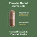 daiken-bitter-melon-cinnamon-chromium-10-4.jpg