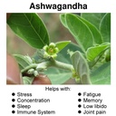 hybrid-nutraceuticals-organic-ashwagandh-2.jpg