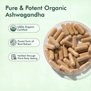 ashwagandha-500-mg-capsules-withania-som-4.jpg