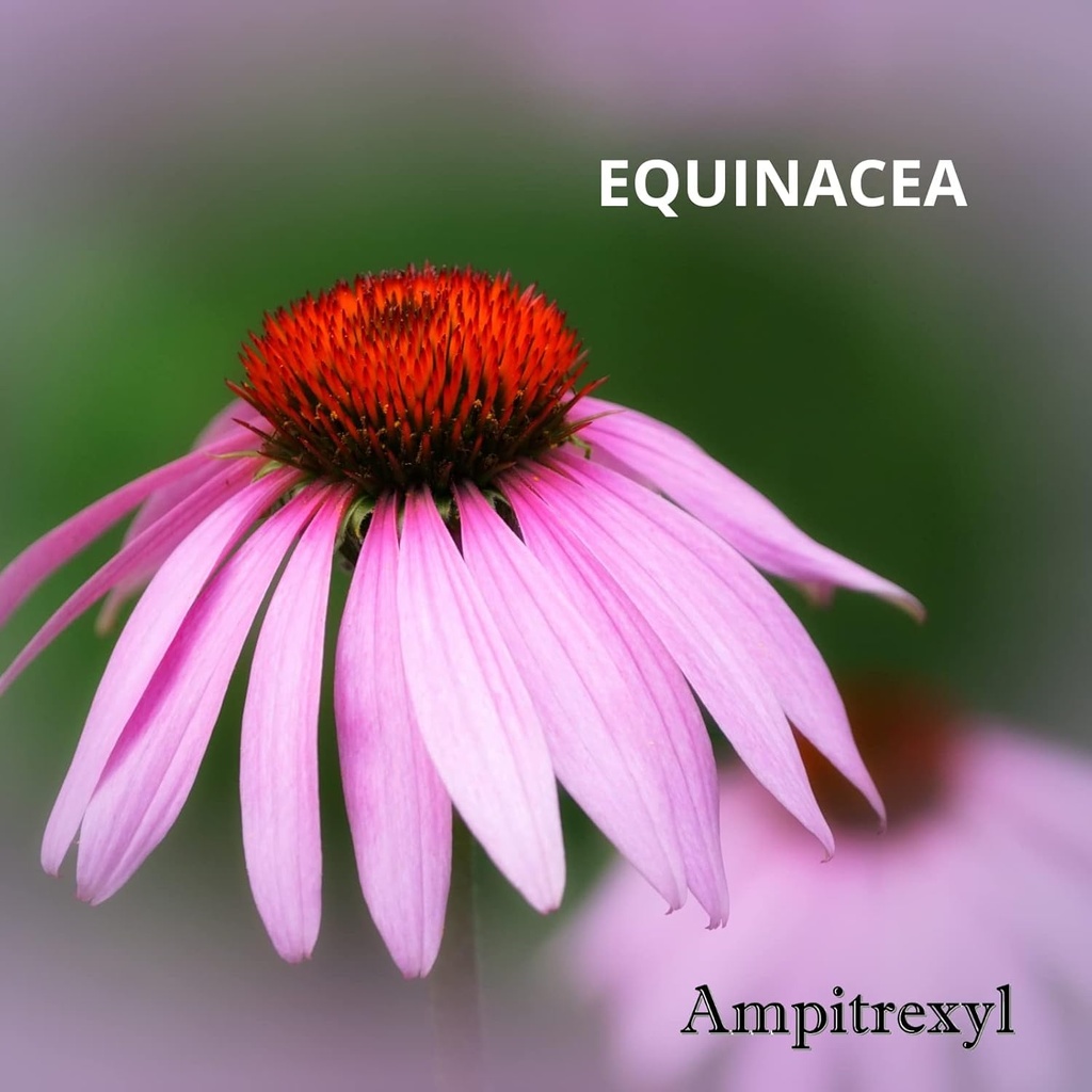 ampitrexyl-formula-antioxidant-capsules--6.jpg