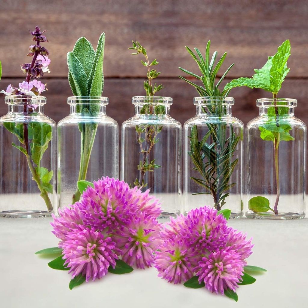 nature-s-answer-red-clover-trifolium-pra-5.jpg