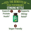 usda-organic-stinging-nettle-vegan-capsu-2.jpg