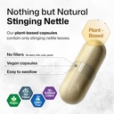 bio-krauter-stinging-nettle-for-seasonal-3.jpg