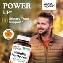 wild-organic-stinging-nettle-leaf-capsul-2.jpg