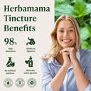 herbamama-stinging-nettle-tincture-vegan-5.jpg