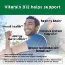 nature-made-vitamin-b12-500-mcg-dietary--3.jpg