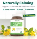 st-john-s-wort-capsules-powerful-potent--2.jpg