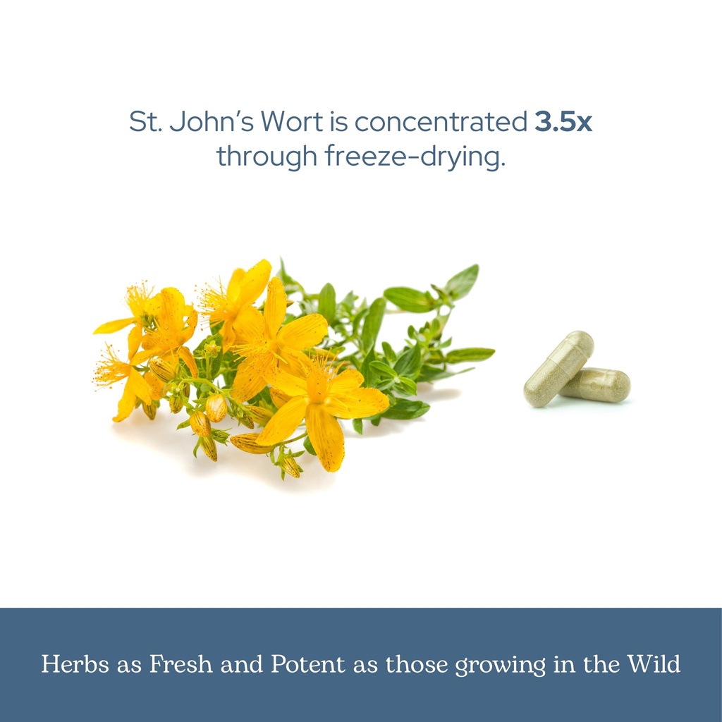 eclectic-herb-st-john-s-wort-capsules-ne-6.jpg