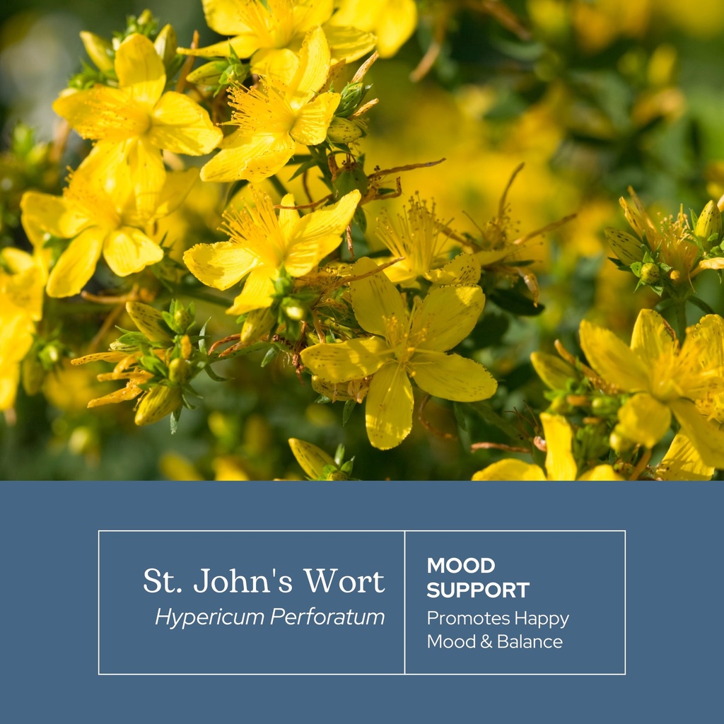 eclectic-herb-st-john-s-wort-capsules-ne-3.jpg