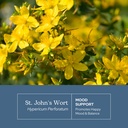 eclectic-herb-st-john-s-wort-capsules-ne-3.jpg