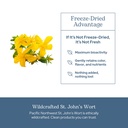 eclectic-herb-st-john-s-wort-capsules-ne-5.jpg
